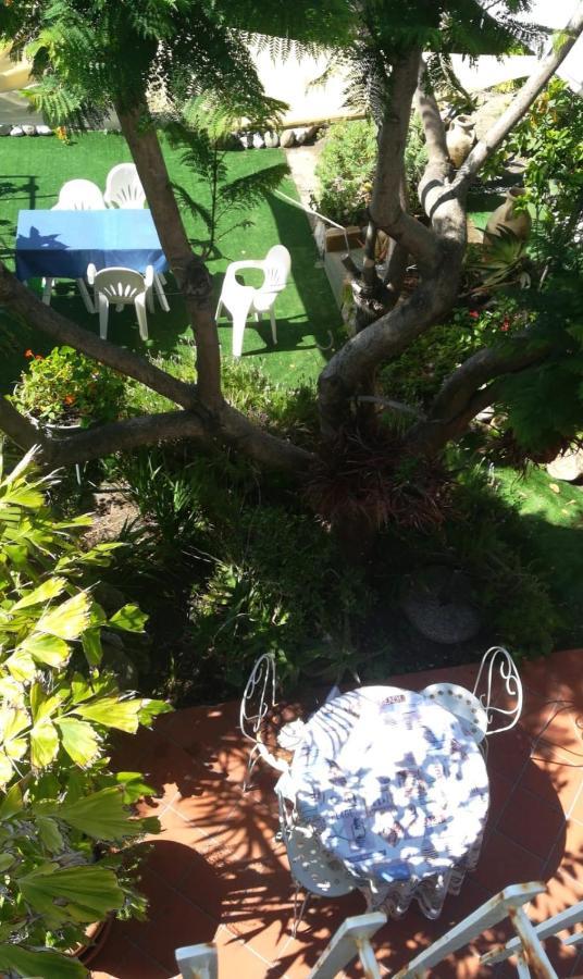 Agriturismo Terre Di Mare Bordighera Vallecrosia Eksteriør billede