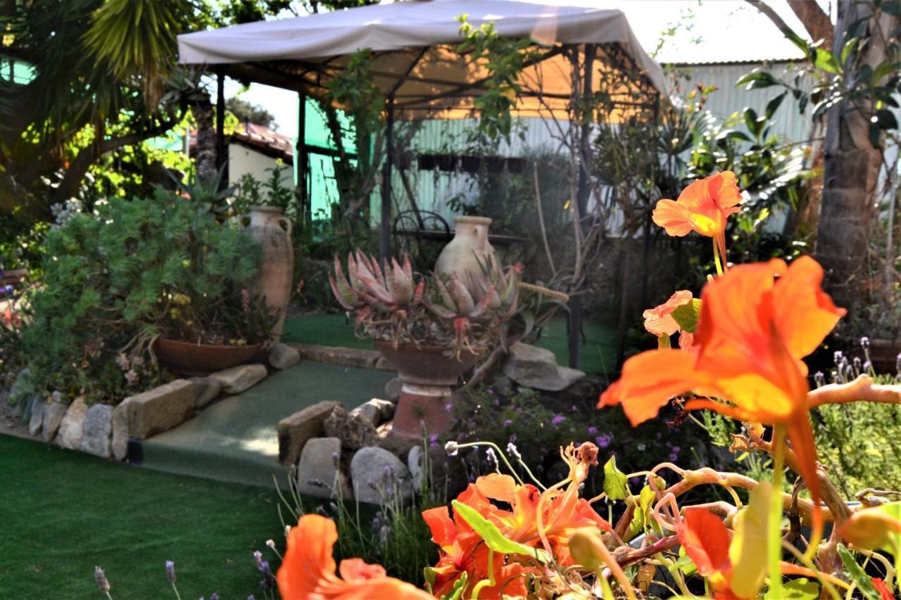 Agriturismo Terre Di Mare Bordighera Vallecrosia Eksteriør billede